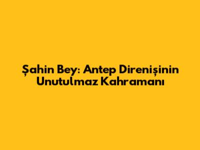 Şahin Bey: Antep Direnişinin Unutulmaz Kahramanı