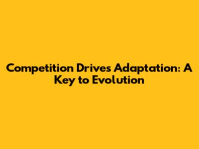 Competition Drives Adaptation: A Key to Evolution