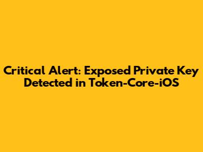 Critical Alert: Exposed Private Key Detected in Token-Core-iOS