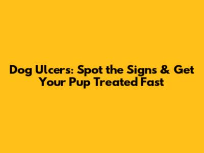 Dog Ulcers: Spot the Signs & Get Your Pup Treated Fast