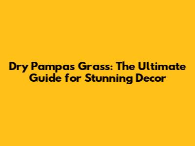 Dry Pampas Grass: The Ultimate Guide for Stunning Decor