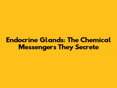 Endocrine Glands: The Chemical Messengers They Secrete