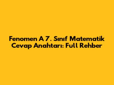 Fenomen A 7. Sınıf Matematik Cevap Anahtarı: Full Rehber