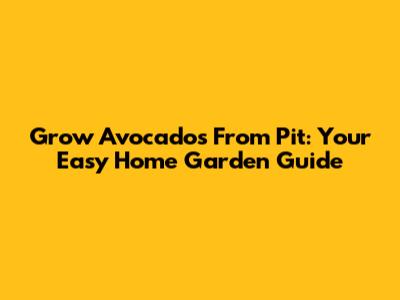 Grow Avocados From Pit: Your Easy Home Garden Guide