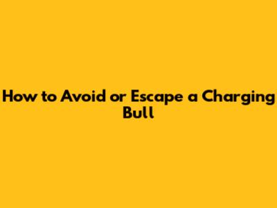 How to Avoid or Escape a Charging Bull