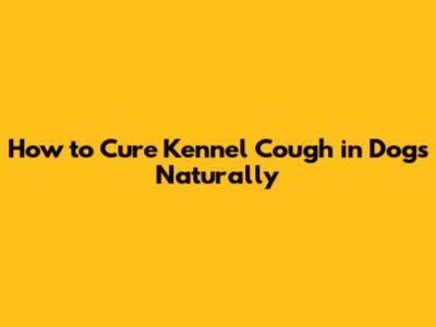 How to Cure Kennel Cough in Dogs Naturally