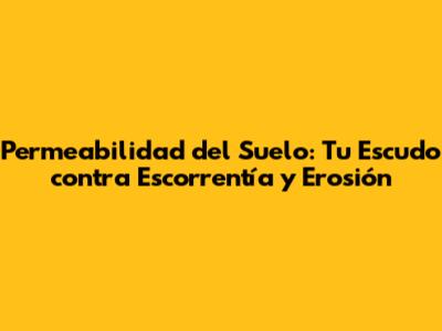 Permeabilidad del Suelo: Tu Escudo contra Escorrentía y Erosión