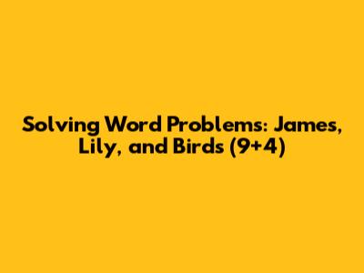 Solving Word Problems: James, Lily, and Birds (9+4)