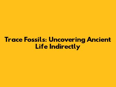 Trace Fossils: Uncovering Ancient Life Indirectly