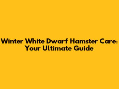 Winter White Dwarf Hamster Care: Your Ultimate Guide